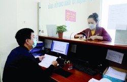 Lang Son Customs processes export procedures for nearly 13,000 tons of agricultural products
