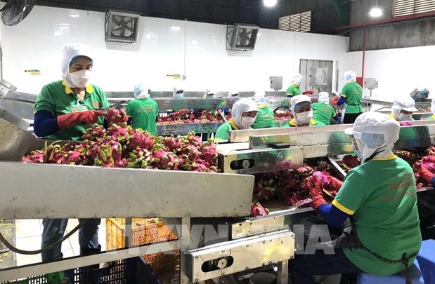 Deep processing increases agricultural product export value: experts