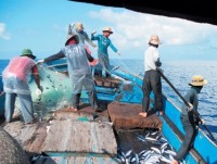 VFTU slams China’s fishing ban