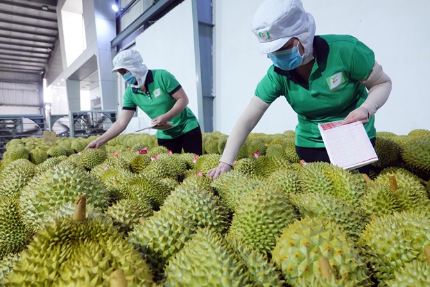 Online exports expected to be economic growth driver hinh anh 2