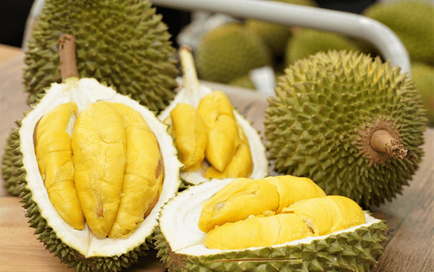 UK a potential market for Vietnamese durian: insiders hinh anh 1