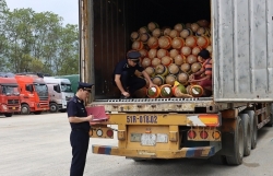 Customs proactively offer 6 solutions for agricultural exports