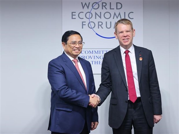 Vietnam treasures strategic partnership with New Zealand: Prime Minister hinh anh 1