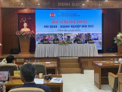 dong nai customs dialogue removing obstacles helping businesses comply with the law on customs
