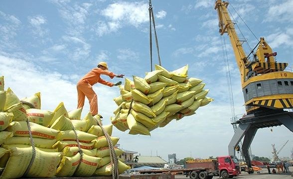 Vietnam remains biggest rice provider of Philippines hinh anh 1