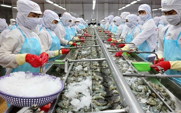 Ample room remains for food processing industry’s development hinh anh 1