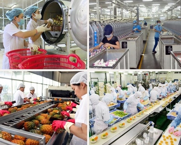 Ample room remains for food processing industry’s development hinh anh 2