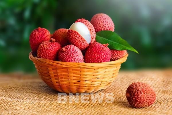 Vietnam Airlines transports fresh lychee to 7 countries in Europe, Asia hinh anh 1