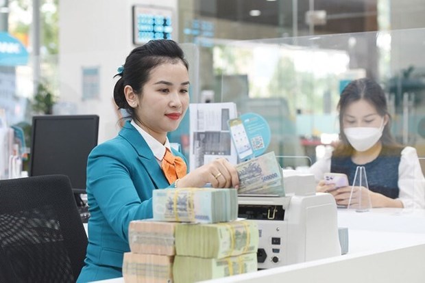 Credit institutions expect positive demand for banking services hinh anh 1