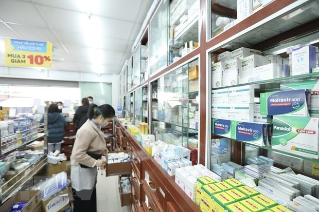 Vietnam grabs attention of pharmaceutical companies from RoK hinh anh 1