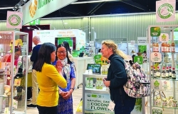 "Sealing the deal" thanks to active participation in international trade fairs