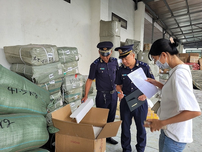 Lang Son Customs officer inspects high-risk imported goods. Photo: H.Nu