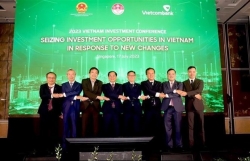 Investment cooperation a highlight in Vietnam-Singapore ties: FM