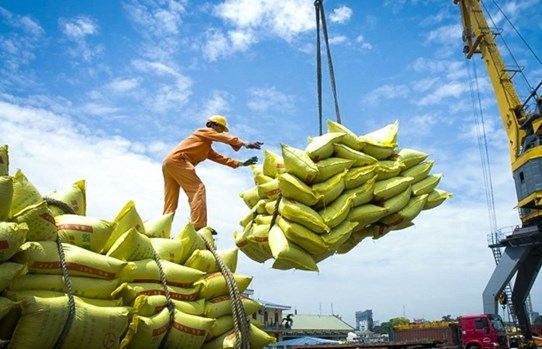 Measures needed to regain export momentum in second half of this year