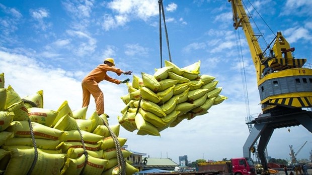 Measures needed to regain export momentum in second half of this year hinh anh 1