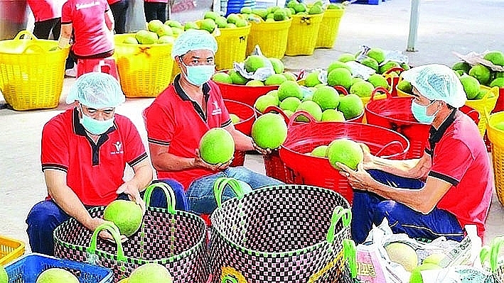 Trade promotion activities are being strengthened to expand the market for Vietnamese goods. Photo: collected