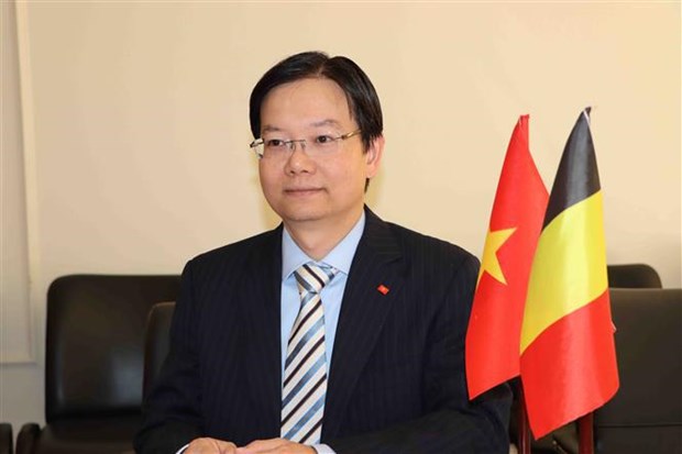EVFTA opens door wider for Vietnamese goods to EU hinh anh 2