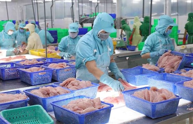 EVFTA opens door wider for Vietnamese goods to EU hinh anh 1