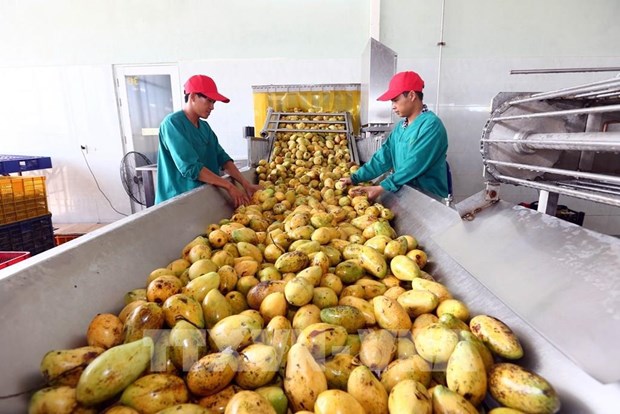 Three years into EVFTA: Vietnam’s agricultural exports grow impressively hinh anh 2