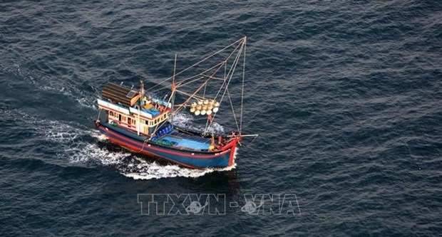 Localities urged to take drastic measures against IUU fishing hinh anh 1