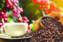coffee exports set to break record