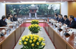 Vietnam to speed up projects to make effective use of JICA loans