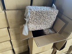 about 100 tons of cashew nuts without declaration seized