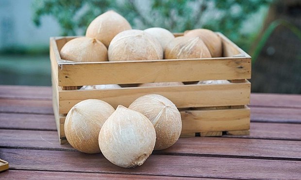 Vietnam gets green light to export fresh husked coconut to US hinh anh 1