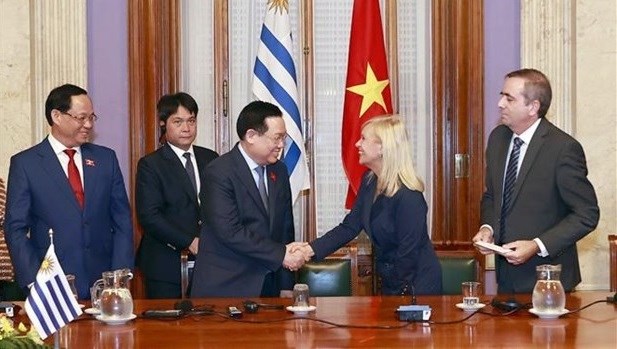 30 years of Vietnam-Uruguay diplomatic relations hinh anh 1