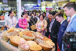 seafood exports to the uae have significant potential