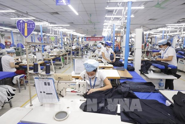 Vietnam Australia’s largest cotton importer: Authority hinh anh 1