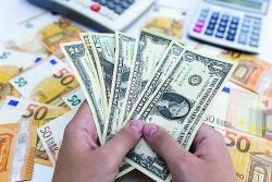 stable exchange rate helps banks win big from foreign exchange business