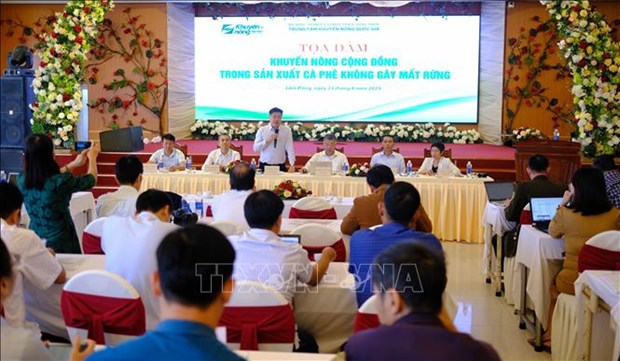 Immediate actions required to prevent forest loss in coffee production: official hinh anh 1