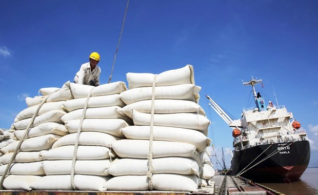 Prices of Vietnam’s exported rice highest in the world hinh anh 1