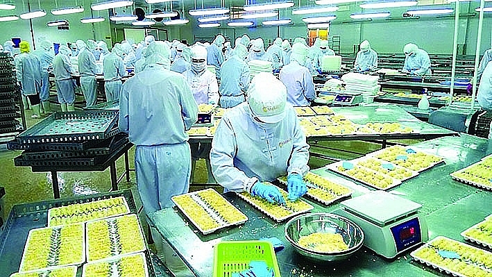 Vietnamese enterprises lead in deep processing of shrimp exports. Photo: T.H