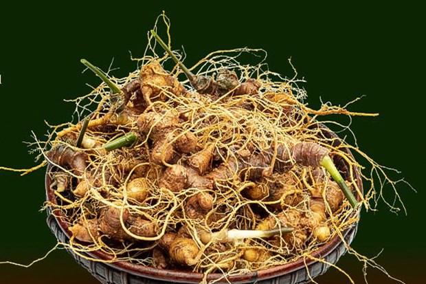 Vietnam builds international brand for ginseng hinh anh 1
