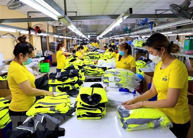 Export remains major driving force of apparel industry hinh anh 2