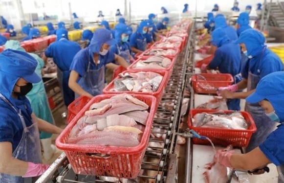 Fisheries sector takes advantage of market opportunities to well recover