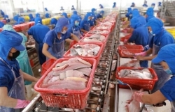 Fisheries sector takes advantage of market opportunities to well recover