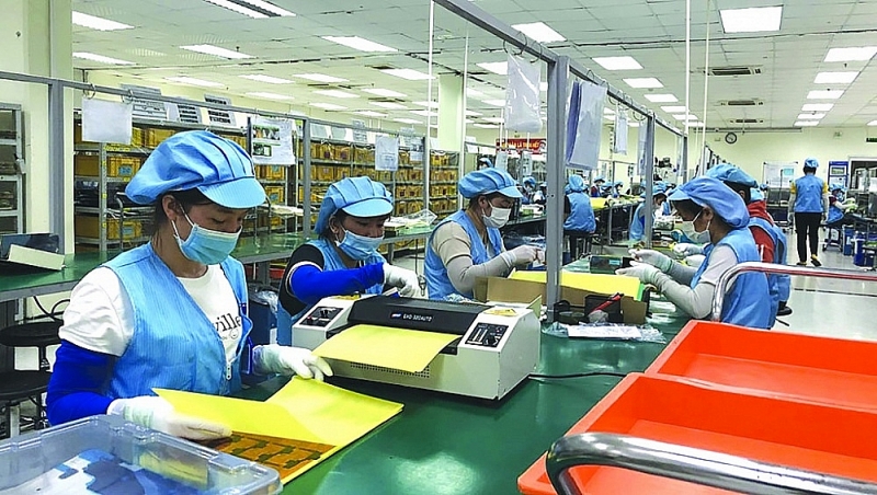 Production activities at Siflex Vietnam Co., Ltd. (Bac Giang). Source: Internet.