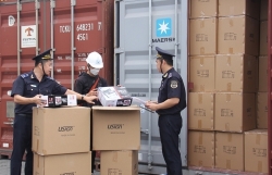 Customs modernization promotes logistics links in the Southeast region