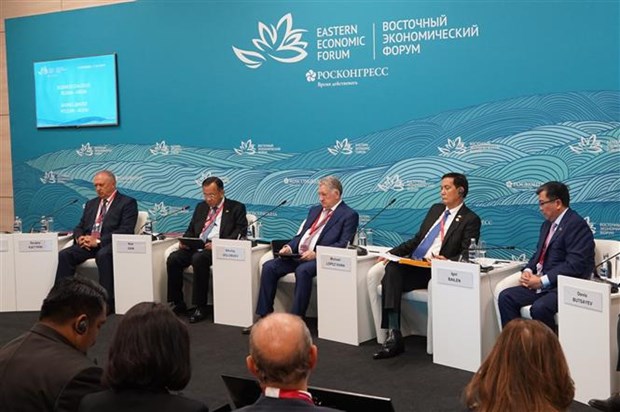 Vietnam attends Russia-ASEAN dialogue at EEF 2023 hinh anh 1