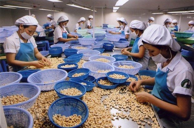 Growing agricultural export to match international standards hinh anh 1
