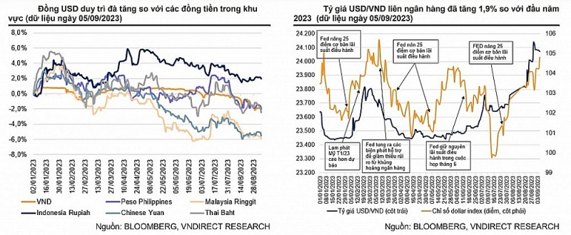 Developments of the USD and USD/VND exchange rate from the beginning of the year until now