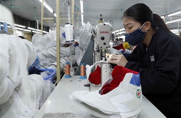 Vietnam plays important role in supply chains of major global sporting goods brands hinh anh 1