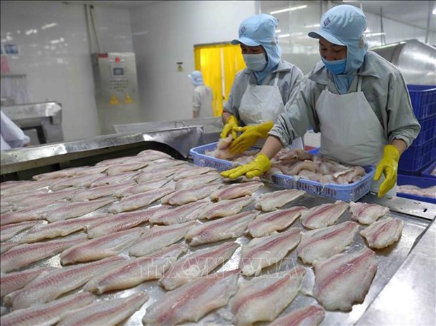 Good news for Vietnam’s tra fish exports to US hinh anh 1