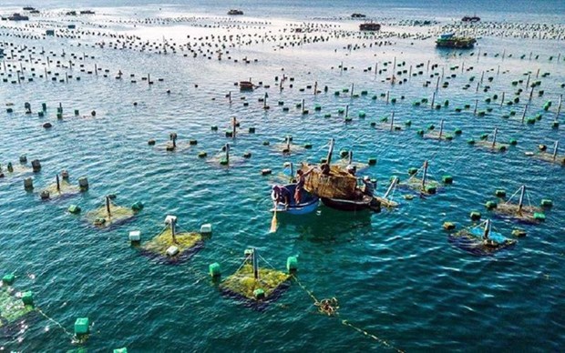 Vietnam’s aquaculture top position on world map hinh anh 1