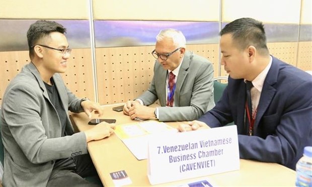 Latin America among most important markets for Vietnam: official hinh anh 1