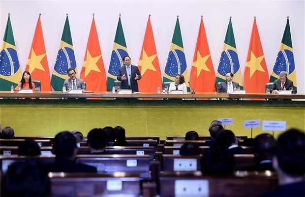 PM highlights five measures to elevate Vietnam – Brazil ties hinh anh 2
