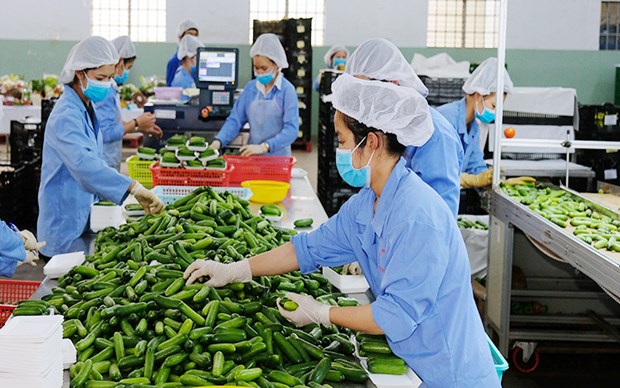 Green transformation considered key to sustainable exports: Experts hinh anh 1